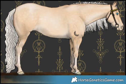 Horse Color:Chocolate Silver Buckskin Pearl Rabicano 