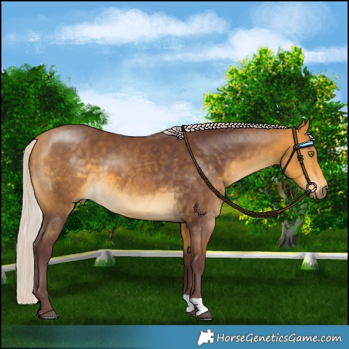 Horse Color:Chocolate Silver Buckskin 