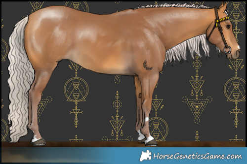Horse Color:Chocolate Silver Buckskin 