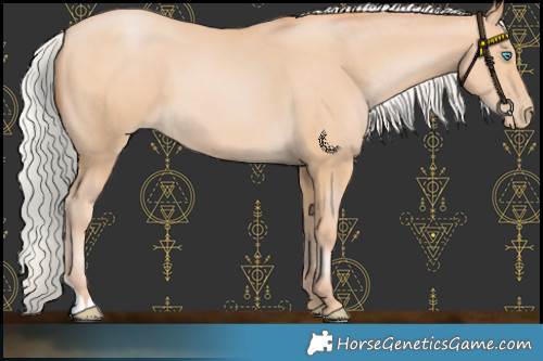 Horse Color:Chocolate Silver Buckskin Pearl 