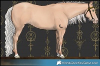 Horse Color:Chocolate Silver Amber Champagne 
