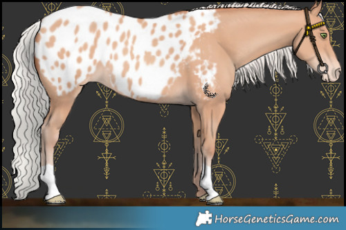 Horse Color:Chocolate Silver Amber Champagne Blanket 