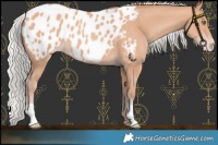 Horse Color:Chocolate Silver Amber Champagne Blanket