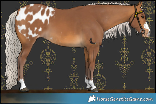 Horse Color:Chocolate Silver Buckskin Blanket 