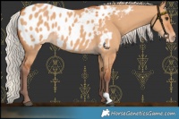 Horse Color:Chocolate Silver Bay Dun Blanket