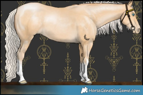 Horse Color:White Spotted Chocolate Silver Buckskin Pearl 