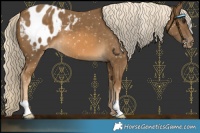 Horse Color:Chocolate Palomino Blanket
