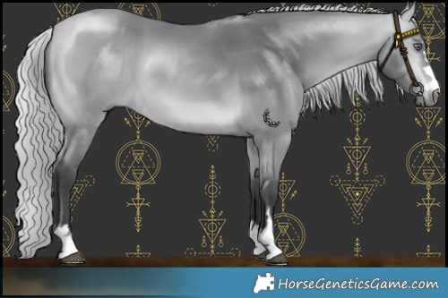 Horse Color:Silver Bay Chinchilla 