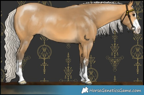 Horse Color:Silver Buckskin 