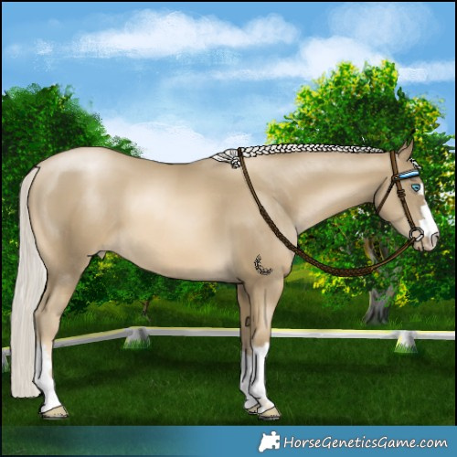 Horse Color:Silver Smoky Black Pearl 
