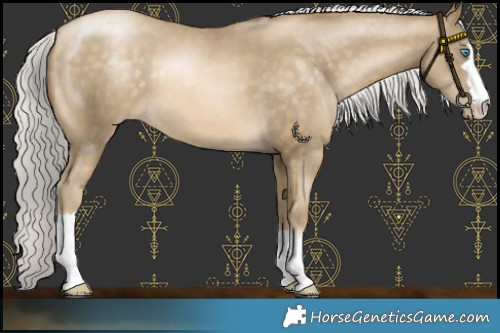 Horse Color:Silver Buckskin Pearl 