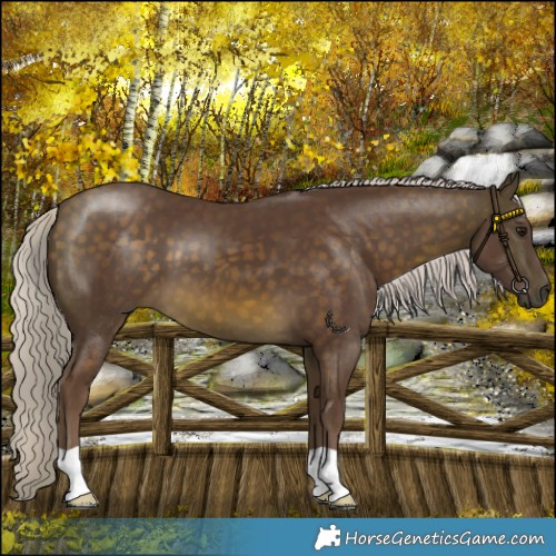 Horse Color:Chocolate Silver Buckskin 