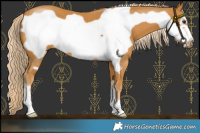 Horse Color:Palomino Frame 