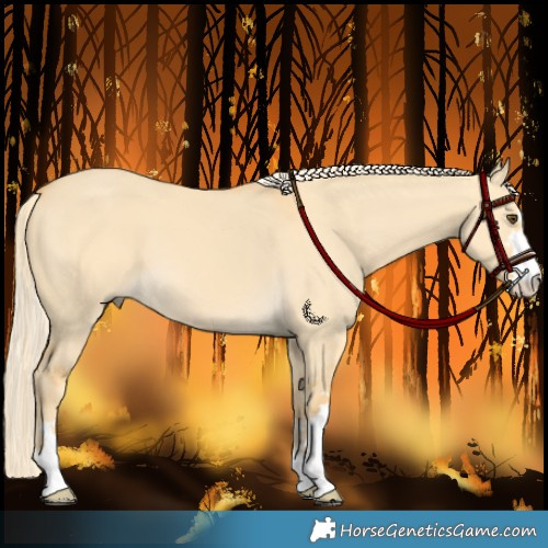 Horse Color:Palomino Dun 