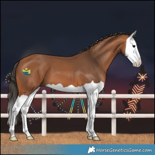 Horse Color:Bay Splash 