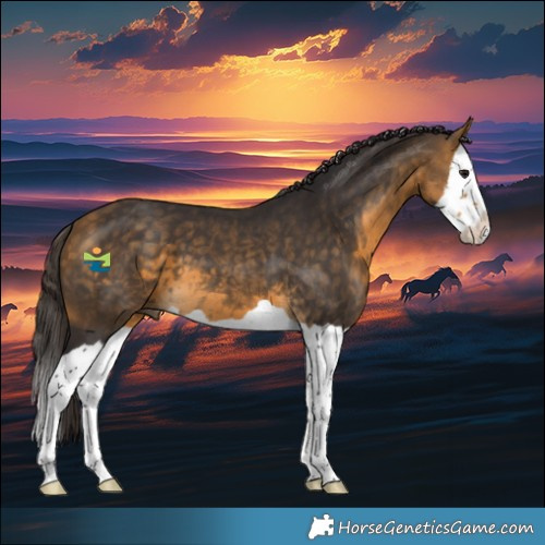 Horse Color:Buckskin Splash 