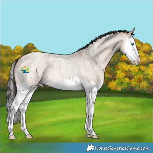 Horse Color:Bay Roan Dun Splash 