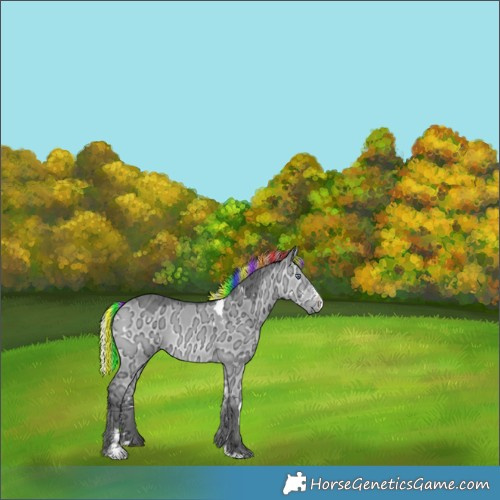 Horse Color:Painted White Spotted Silver Bay Chinchilla Ice Dun Sabino 
