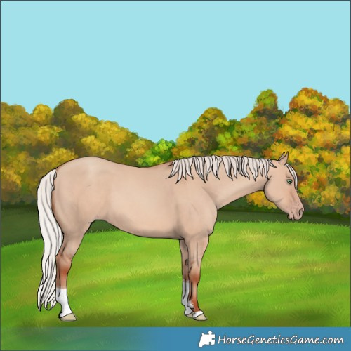 Horse Color:Silver Sable Champagne Dun Sabino Tobiano 