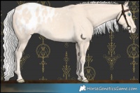 Horse Color:Chocolate Silver Perlino Blanket