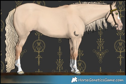 Horse Color:Gold Champagne Dun 