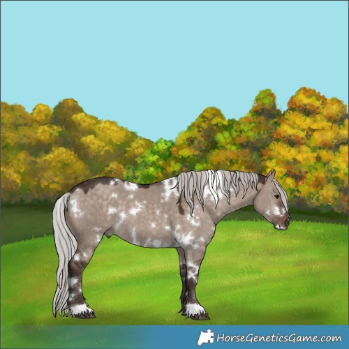 Horse Color:White Spotted Silver Brown Dun Mushroom 