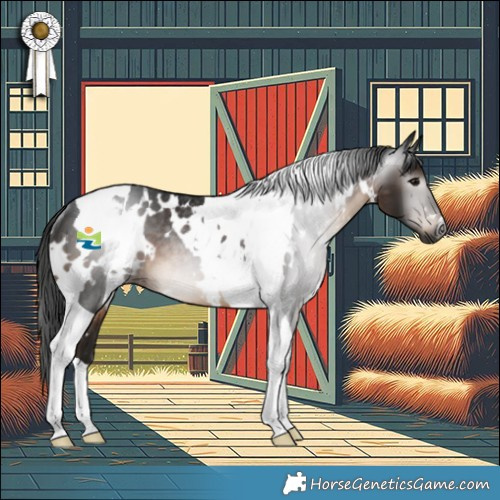 Horse Color:Gray White Spotted Brown Tobiano Rabicano 
