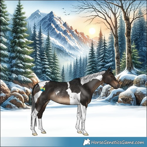Horse Color:Gray Brown Tobiano Rabicano 