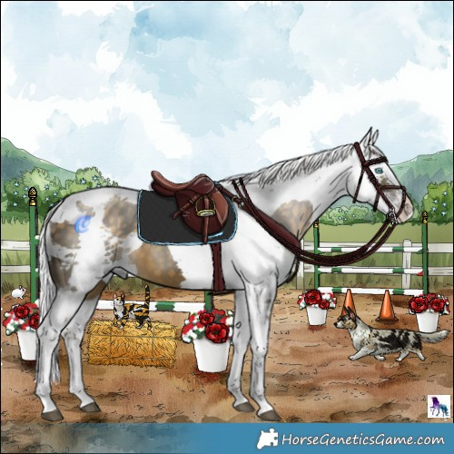 Horse Color:Silver Buckskin Harlequin Merle Splash Tobiano