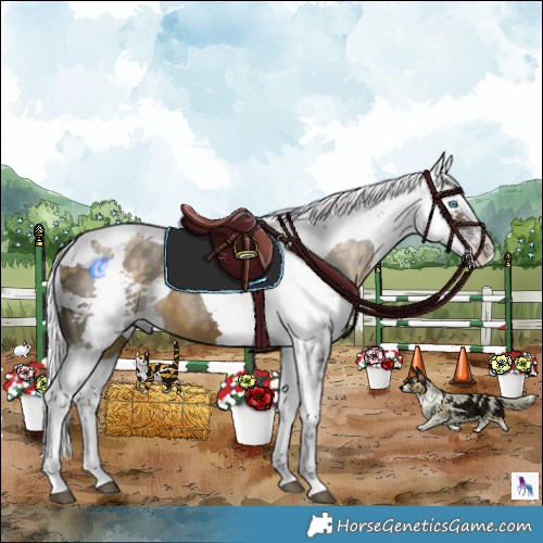 Horse Color:Silver Buckskin Harlequin Merle Splash Tobiano 