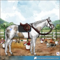 Horse Color:Silver Buckskin Harlequin Merle Splash Tobiano 