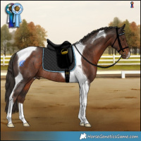 Horse Color:Liver Chestnut Tobiano Rabicano