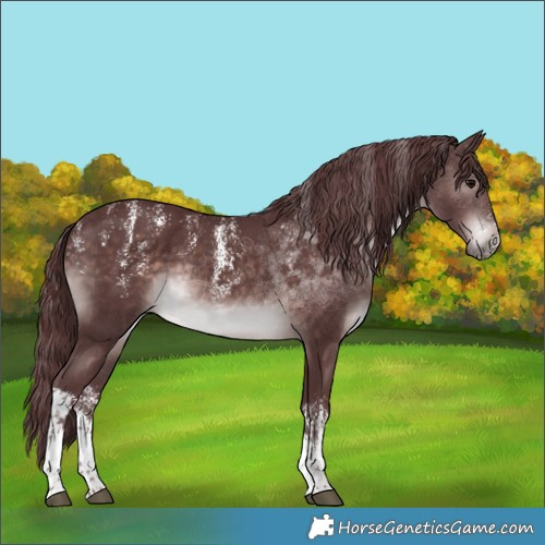 Horse Color:Powder White Platinum White Spotted Chocolate Brown Rabicano 