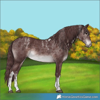 Horse Color:Powder White Platinum White Spotted Chocolate Brown Rabicano 