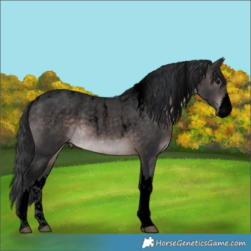 Horse Color:Powder White Void Platinum White Spotted Brown Rabicano 