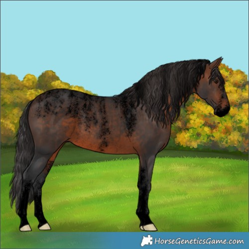 Horse Color:Powder White Void Brown Rabicano 