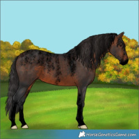 Horse Color:Powder White Void Brown Rabicano 