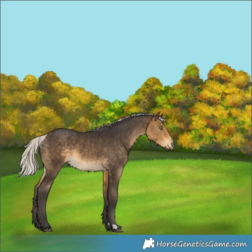 Horse Color:Silver Buckskin Rabicano 