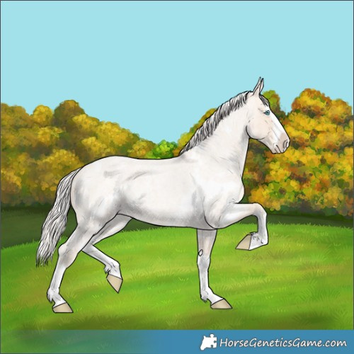 Horse Color:White Spotted Cremello Roan Splash 