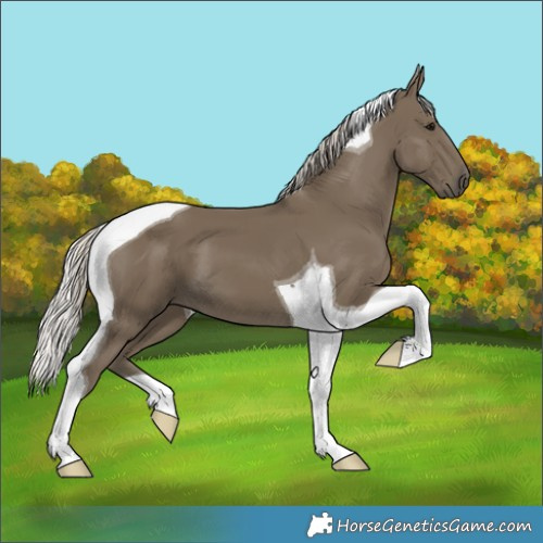 Horse Color:Silver Smoky Black Tobiano