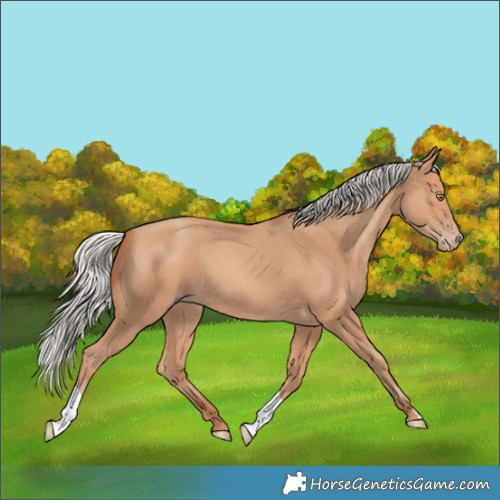Horse Color:Silver Sable Champagne