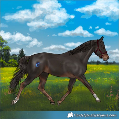 Horse Color:Liver Chestnut  and Liver Chestnut 