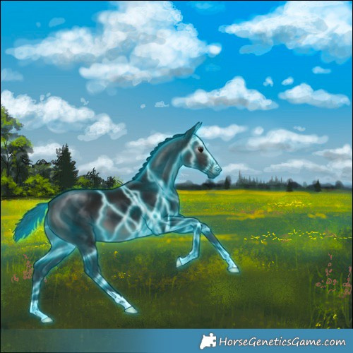 Horse Color:Gray Thunderstruck Black 