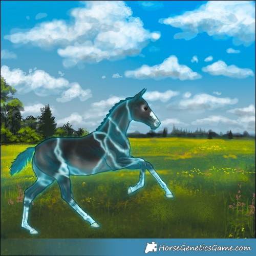 Horse Color:Gray Thunderstruck Black 