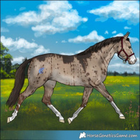 Horse Color:Liver Red Dun Brindle