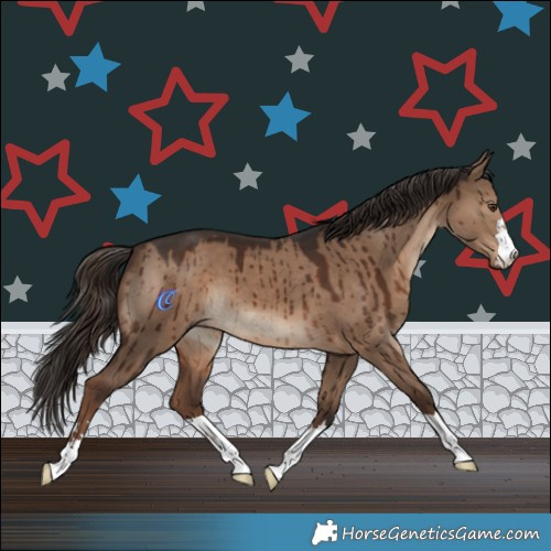 Horse Color:Liver Red Dun Brindle