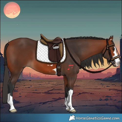 Horse Color:Bay 