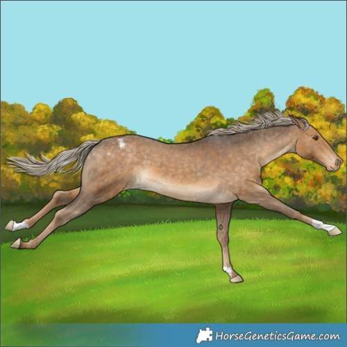 Horse Color:Chocolate Palomino Varnish 