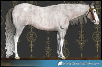 Horse Color:Liver Red Roan Mushroom Splash Snowflake Varnish