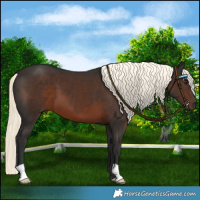 Horse Color:Liver Chestnut Mushroom